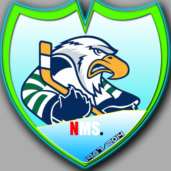 Логотип с орлом для хоккейной команды