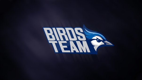 Логотип для клана "Birds Team"